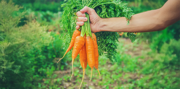 carrots